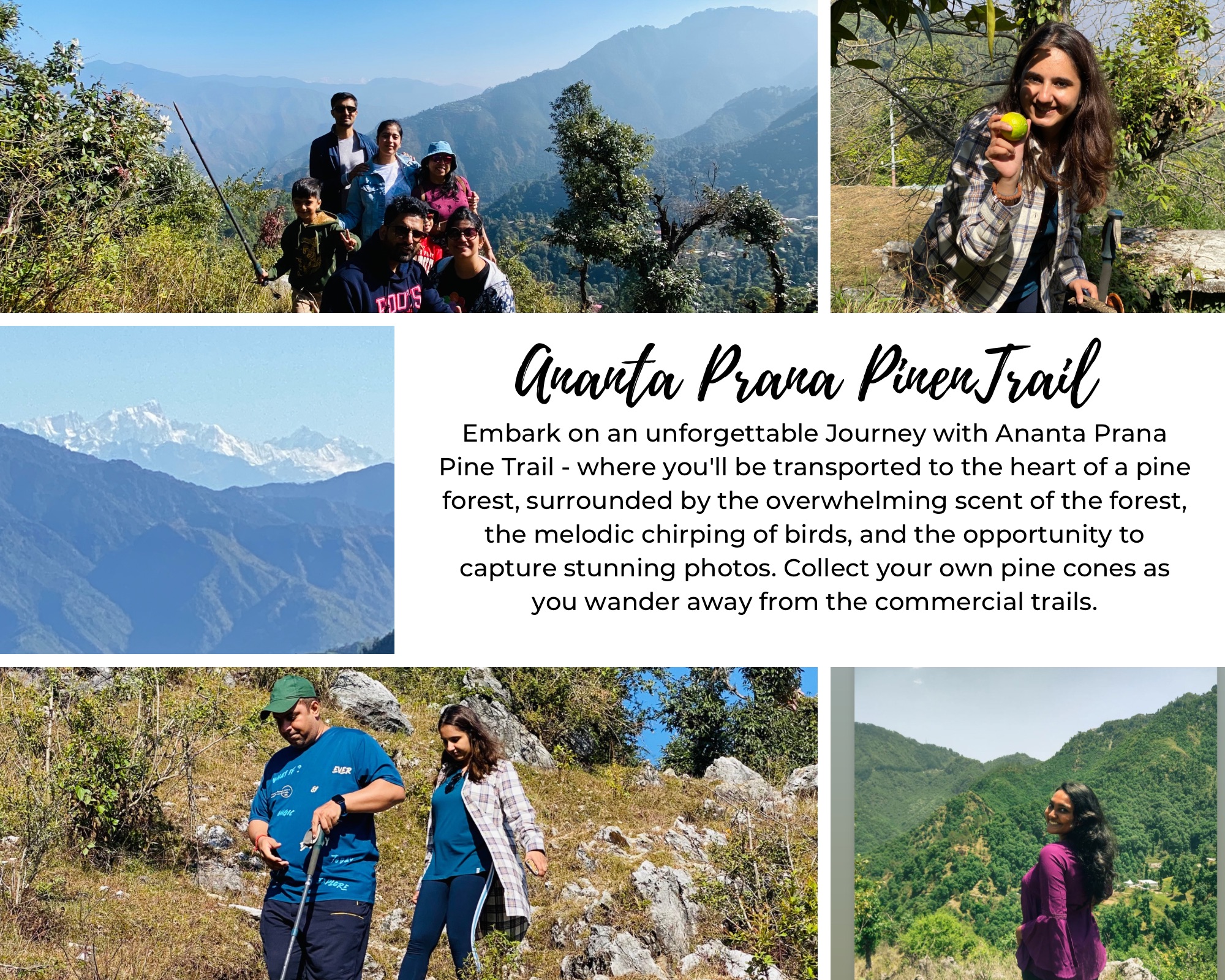 Ananta Prana Glamping Resort Hotel in Mussoorie, Glamping in Mussoorie , Best Hotels in Mussoorie ,best camping in Mussoorie