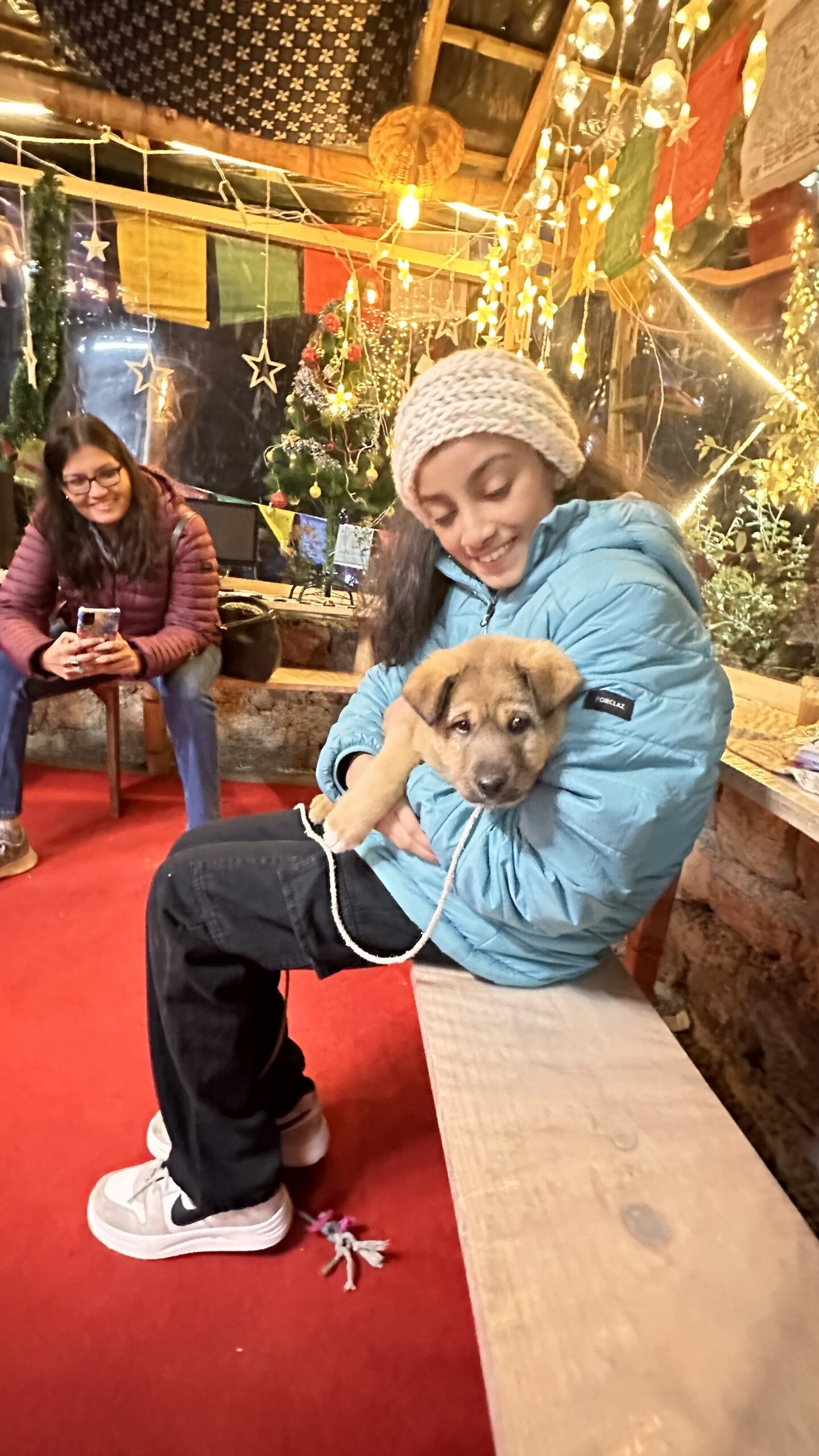 Ananta Prana Glamping Resort Hotel in Mussoorie, Best Hotels in Mussoorie , Glamping in Mussoorie, Best camping in Mussoorie, Best Hotels in Mussoorie , Glamping in Mussoorie, Best camping in Mussoorie