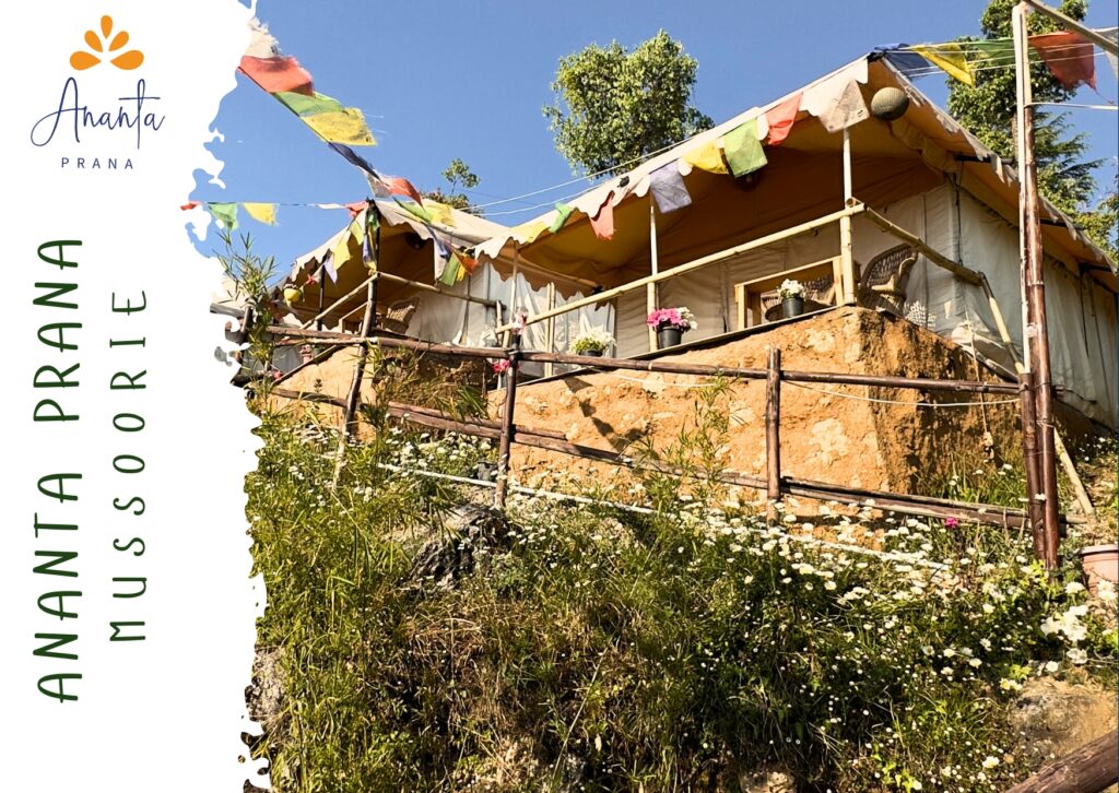 Discover Ananta Prana, the most luxurious glamping resort nestled in the serene Himalayan foothills. Just 3 km from Mussoorie Mall Road and close to Dehradun, our eco-luxury retreat offers breathtaking mountain views, Swiss tents, organic dining, and unforgettable adventure activities. Perfect for couples, families, solo travelers, and pet owners, Ananta Prana blends five-star comfort with raw nature. Enjoy bonfire nights, guided treks, sunrise views of Kedarnath & Gangotri peaks, and more. Whether it’s a romantic escape, family vacation, or a peaceful digital detox, Ananta Prana is your ideal mountain getaway. Why Choose Us? • Luxury Glamping & Camping in Mussoorie • Couple-Friendly & Pet-Friendly Stays • Farm-to-Table Dining • Adventure Activities: Trekking. • Near Kempty Falls, Lal Tibba, Camel’s Back Road • Best Price Guarantee on Direct Bookings Book now and experience the best view resort in Mussoorie & Dehradun.